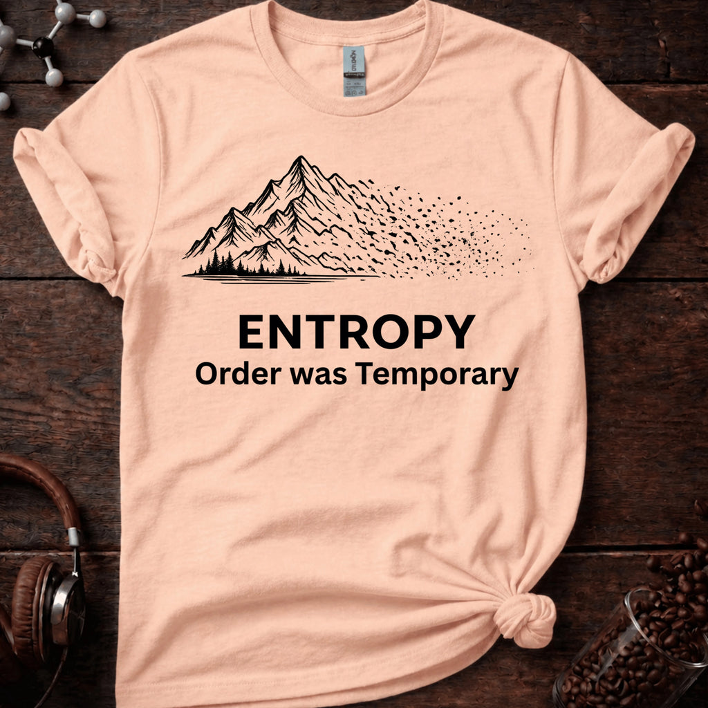 Order Was Temporary Tee